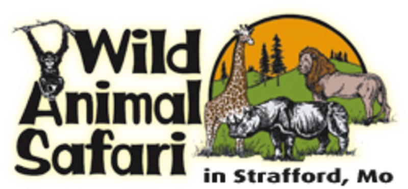 Download Wild Animal Safari Wild Animal Safari Springfield Mo Png Image With No Background Pngkey Com