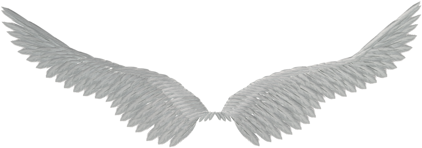 download angel wings png tumblr ailes noires sans fond png image with no background pngkey com download angel wings png tumblr ailes