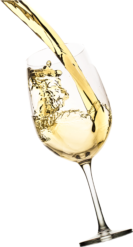 Download White Wine Wine Glass Png Image With No Background 0366