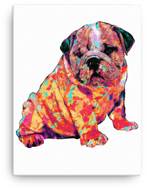 Download English Bulldog Puppy Colorful Painting Canvas - Painting PNG ...