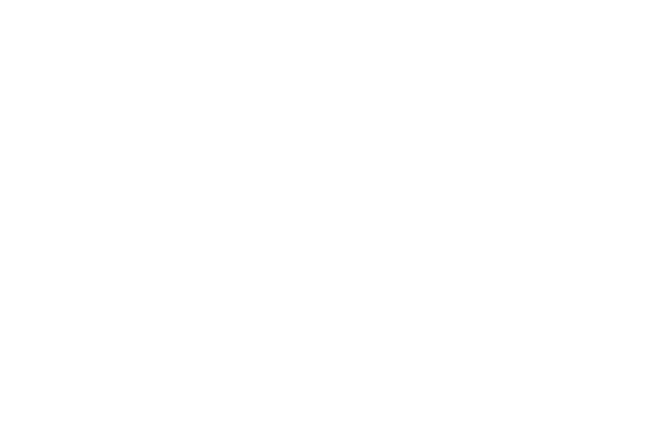 Download White Bird Black Background Png Image With No Background