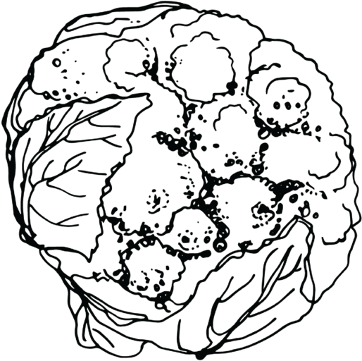 Download Cauliflower PNG Image with No Background - PNGkey.com