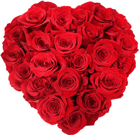 Download Rosas Frescas En Caja Corazón - Heart Of Roses Png PNG Image ...