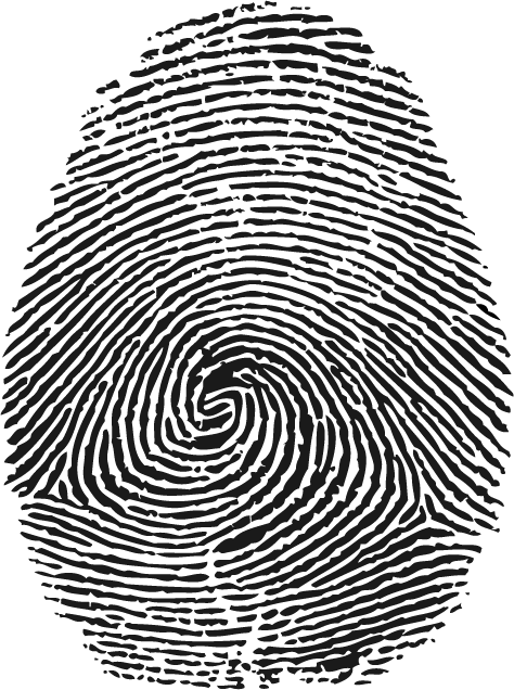 Download Fingerprinting - Fingerprint Texture Png PNG Image with No