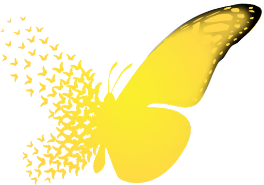 Download Butterfly Logo Butterfly Effect Png Image With No Background Pngkey Com