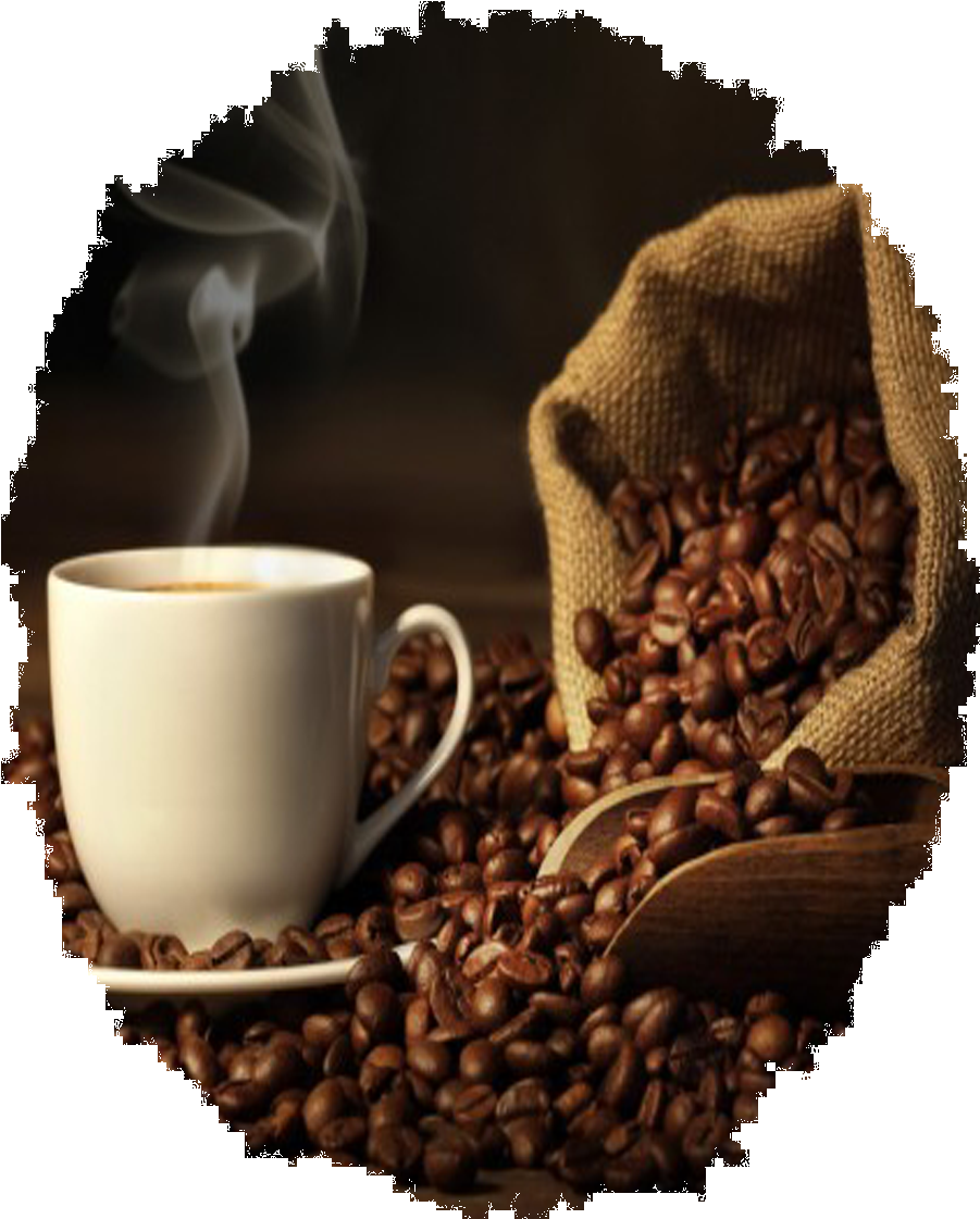 Download Coffee First Wall Art Brown A Cup Of Coffee And Coffee Bean Png Image With No