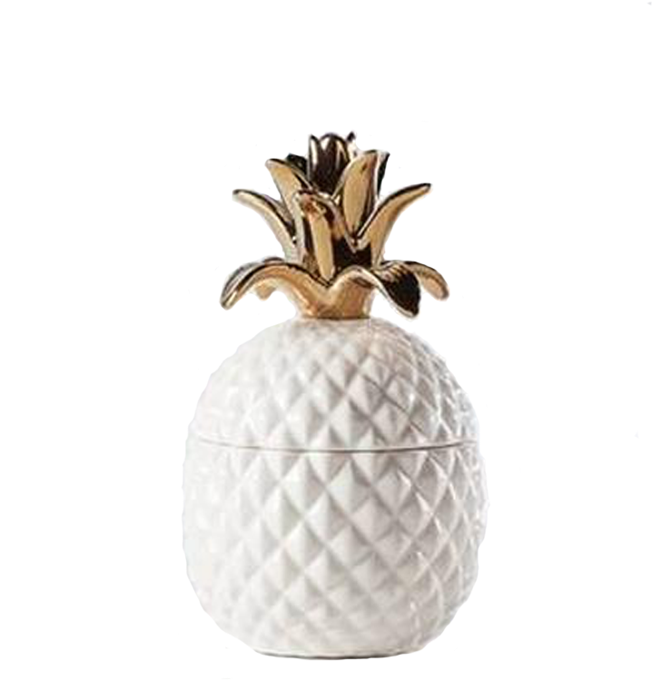 Ceramic Pineapple Canister - White Canisters By Torre & Tagus - White (1000x1000), Png Download