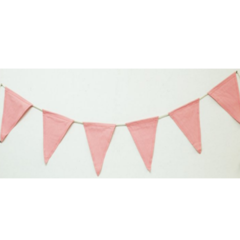 Download Bunting Pink - Infant PNG Image with No Background - PNGkey.com