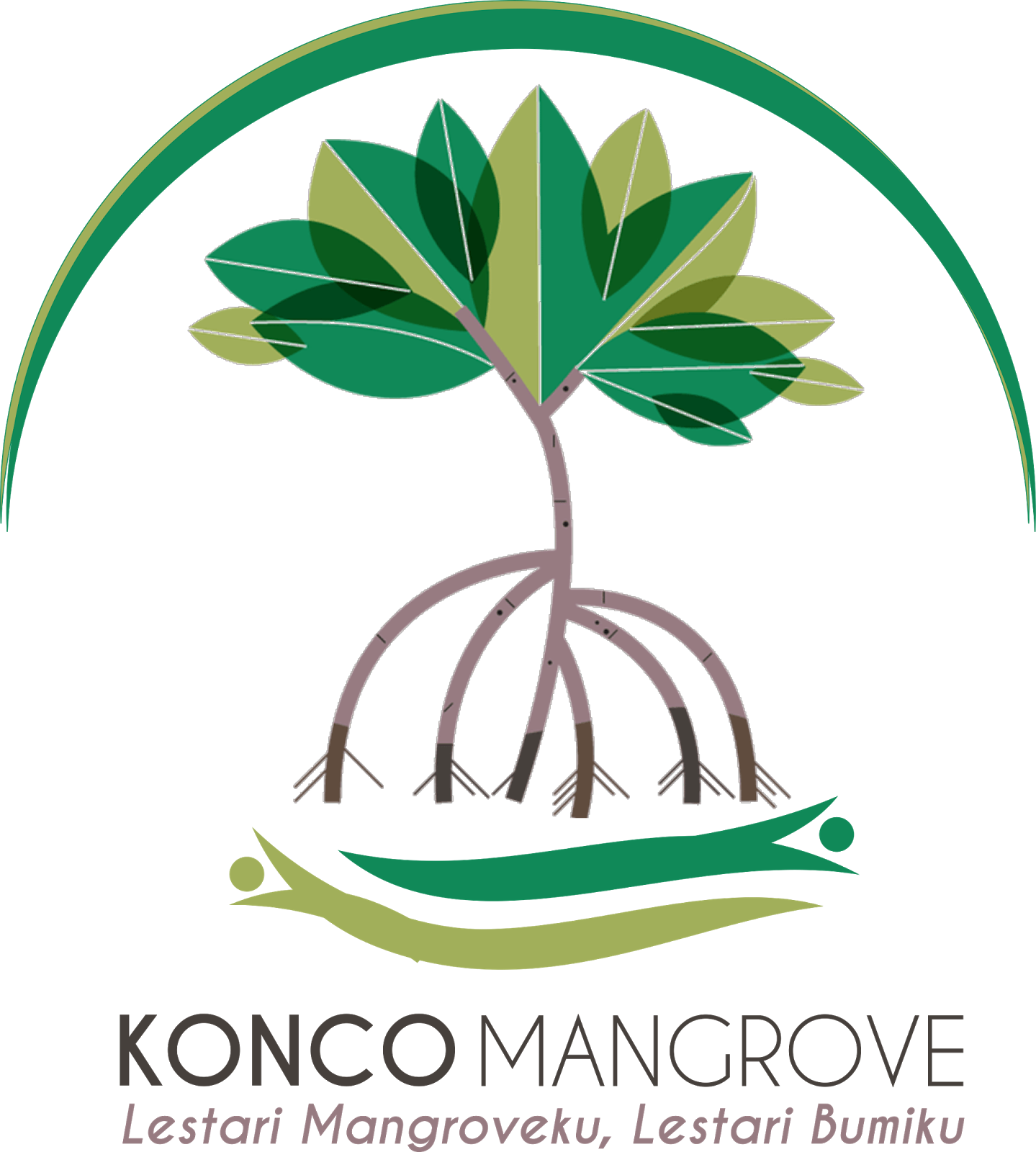 Konco Mangrove - Mangrove Icon Png - Free Transparent Png Download - Pngkey