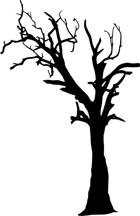 Download Free Png Dead Tree Silhouette Png Images Transparent - Dead ...