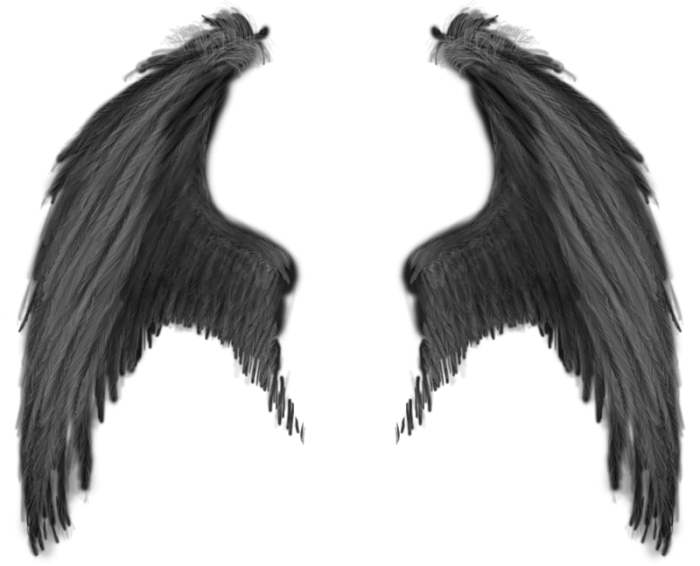Download Realistic Demon Wings Png Png Image With No Background Pngkey Com
