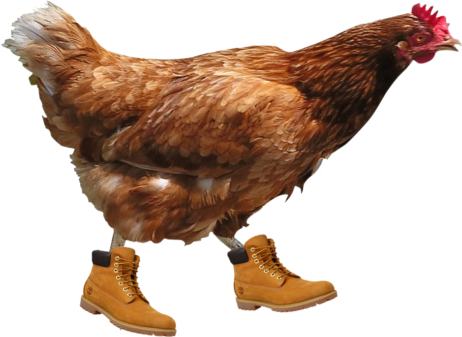 Download Chicken Transparent Background PNG Image with No Background