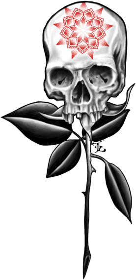 Men - Skull Rose - Smoke - Skull - Free Transparent PNG Download - PNGkey