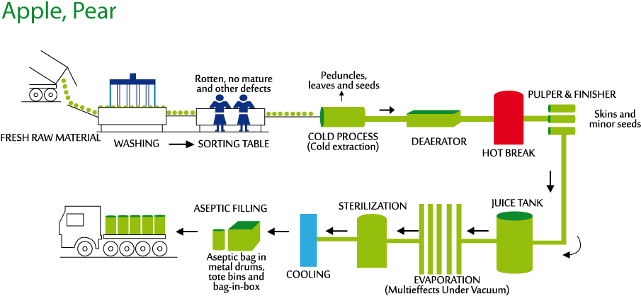 Download Procesos - Diagram PNG Image with No Background - PNGkey.com