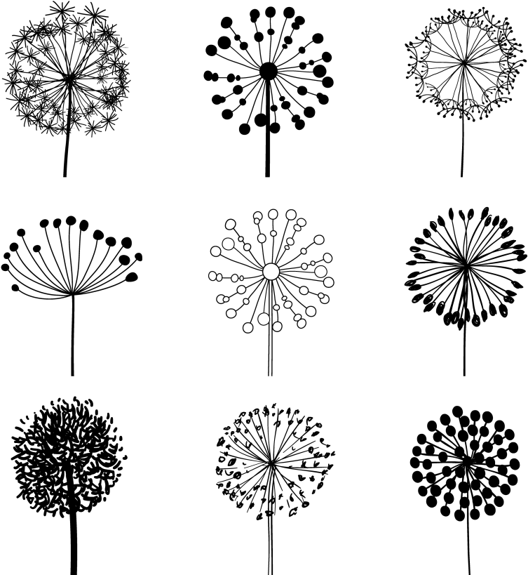 Dandelion Vector - Dandelion Vector Png - Free Transparent PNG Download ...