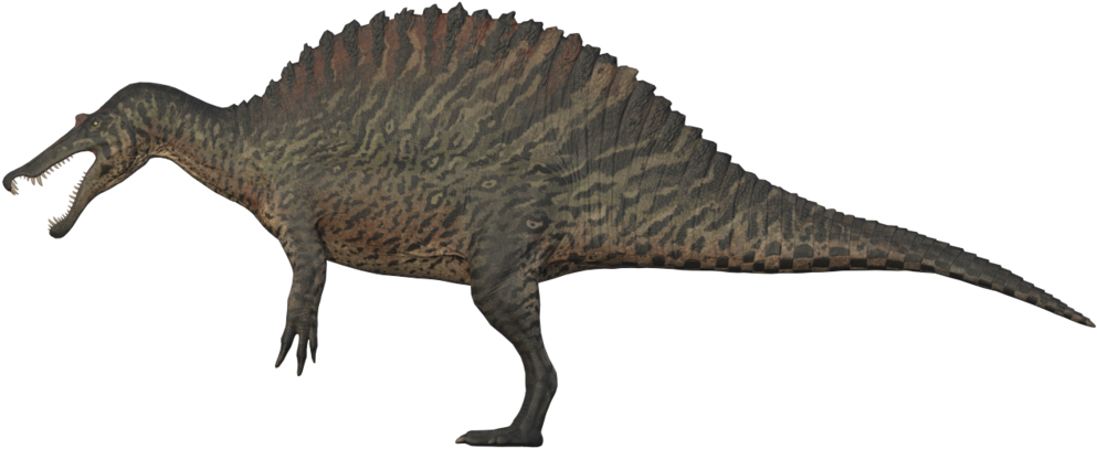 Download Spinosaurus The Isle Isle Spinosaurus Skins Jurassic Park Png Image With No