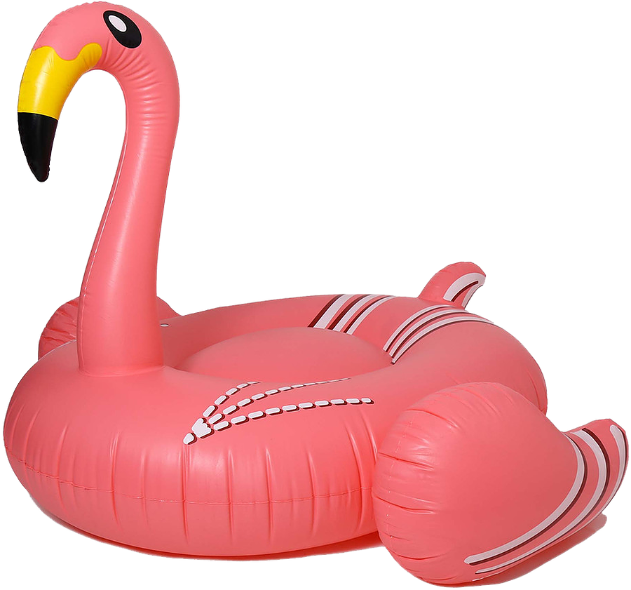 Download Floaty - Flamingo Inflatable Transparent Background PNG Image ...