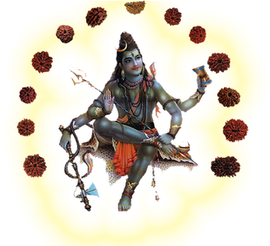 Download Rudraksha Small - Lord Shiva PNG Image with No Background -  