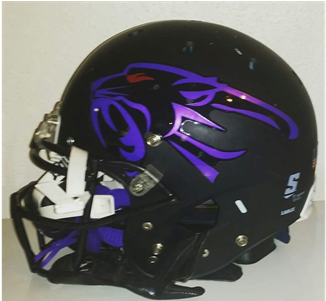 black panther football helmet