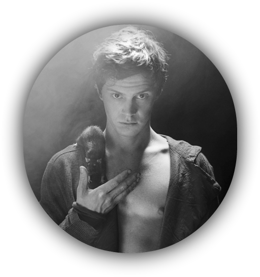 Evan Peters Rat (533x562), Png Download