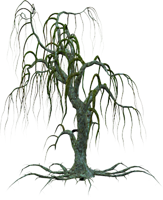 Tree-051 - Png Creepy Tree - Free Transparent PNG Download - PNGkey