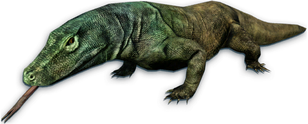 Download Komodo Dragon Transparent Png Far Cry 3 Komodo Png Image