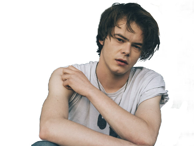 Download Charlie Heaton Hot PNG Image with No Background - PNGkey.com