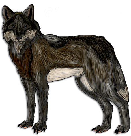 Wolf Drawing png download - 1024*676 - Free Transparent Ark Survival  Evolved png Download. - CleanPNG / KissPNG