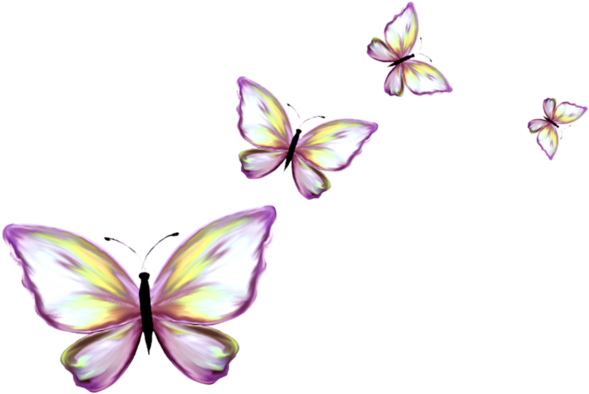 butterfly clip art border