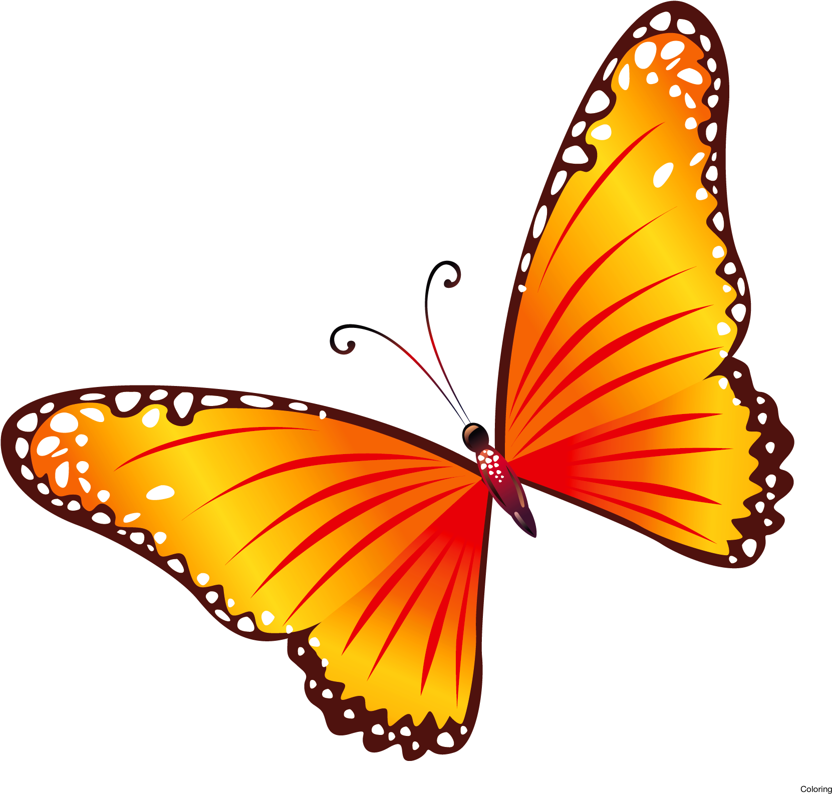 Free Clip Art Butterflies Coloring Butterfly Border - Transparent 