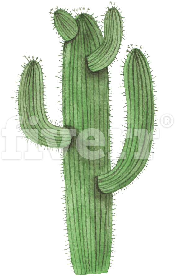 Cactus (1200x1200), Png Download