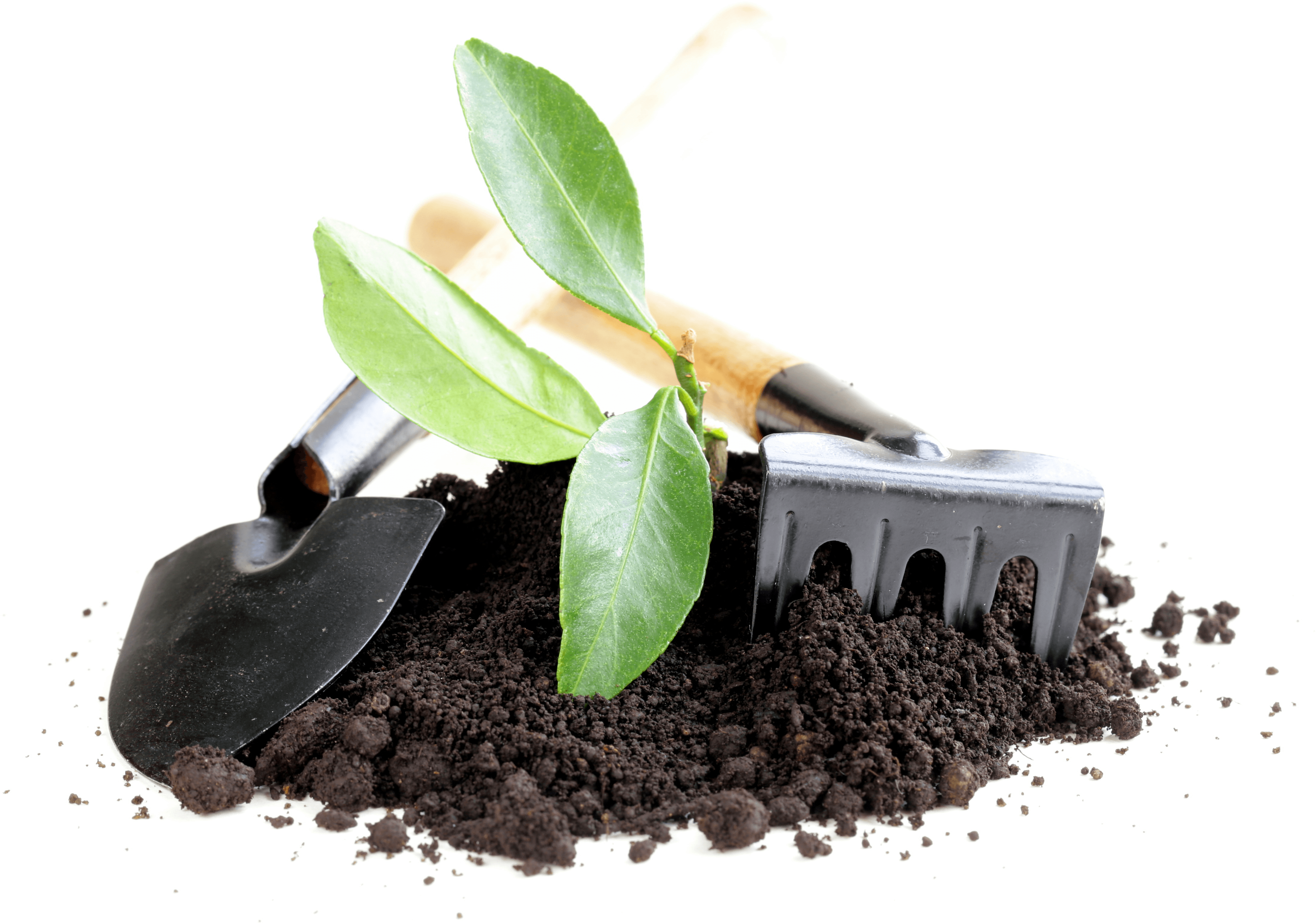 Download Garden Tools Png Graphic Library Download Tool Png Image With No Background Pngkey Com