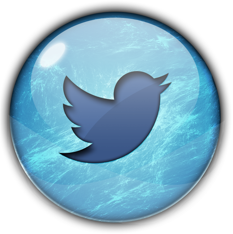 Twitter Button (800x800), Png Download