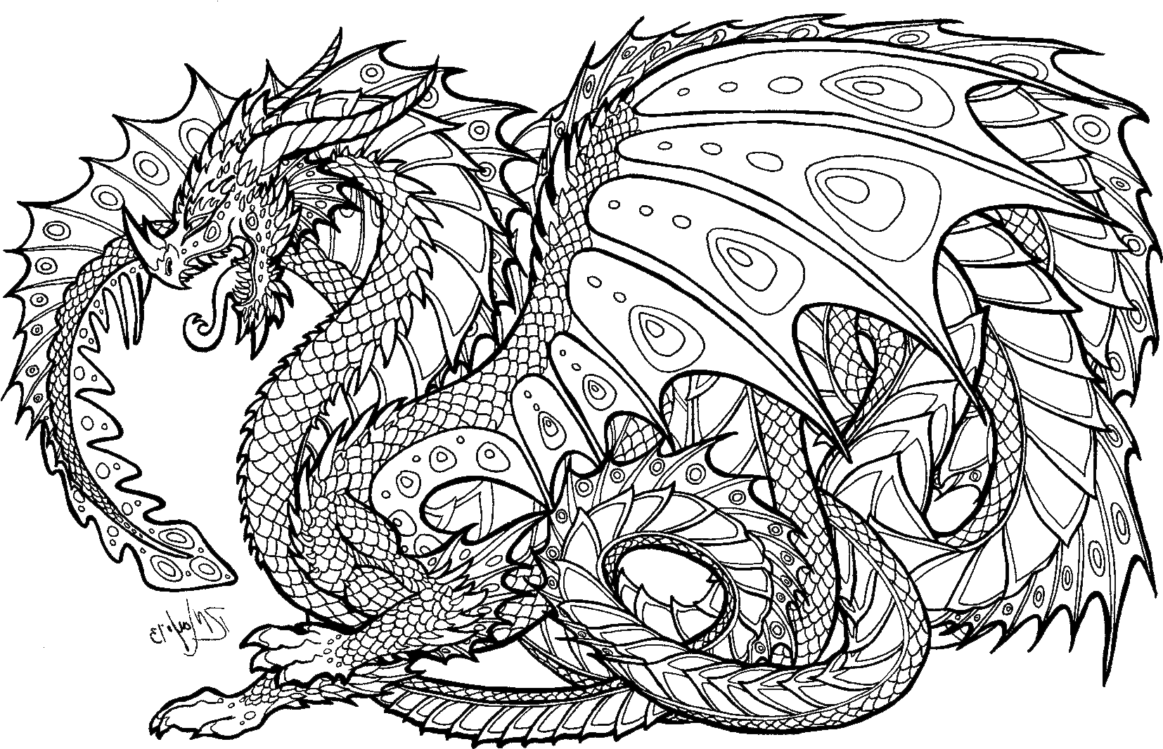 Download Realistic Dragon Coloring Pages For Adults Adult Colouring Pages Dragon PNG Image