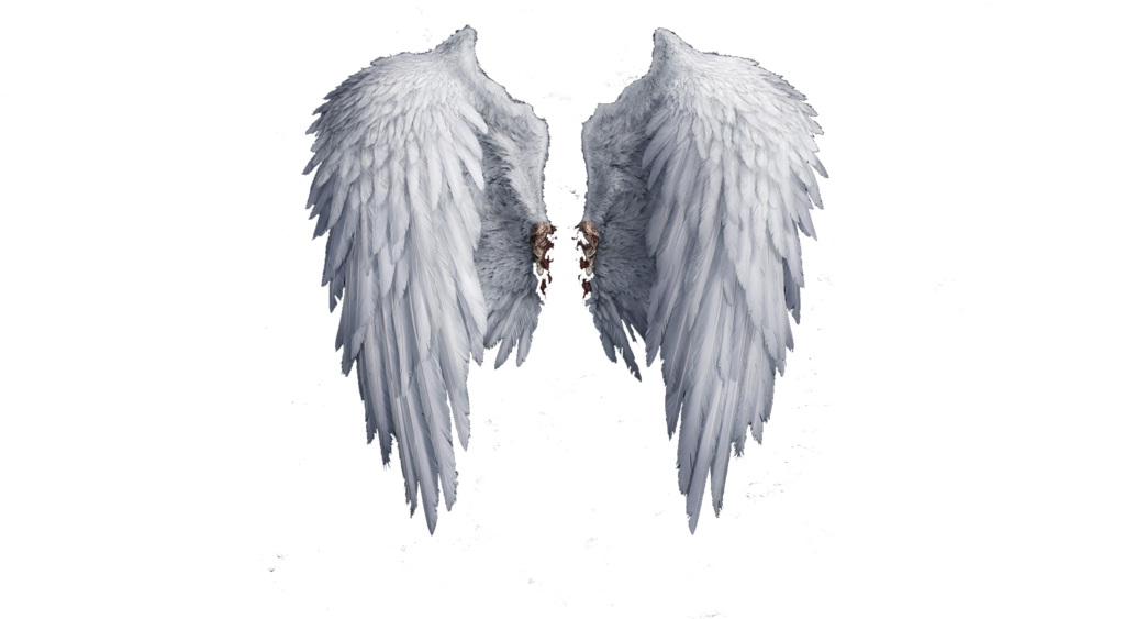 Đôi cánh thiên thần với độ sắc nét cao mang đến một sự thú vị và huyền bí. Hãy xem hình ảnh liên quan và tận hưởng cảm giác tự do bay lượn trên những cánh thiên thần.