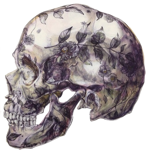 Download Transparency Shit Blunt Transparent Tumblr Floral Skull Illustration Hd Png Image With No Background Pngkey Com