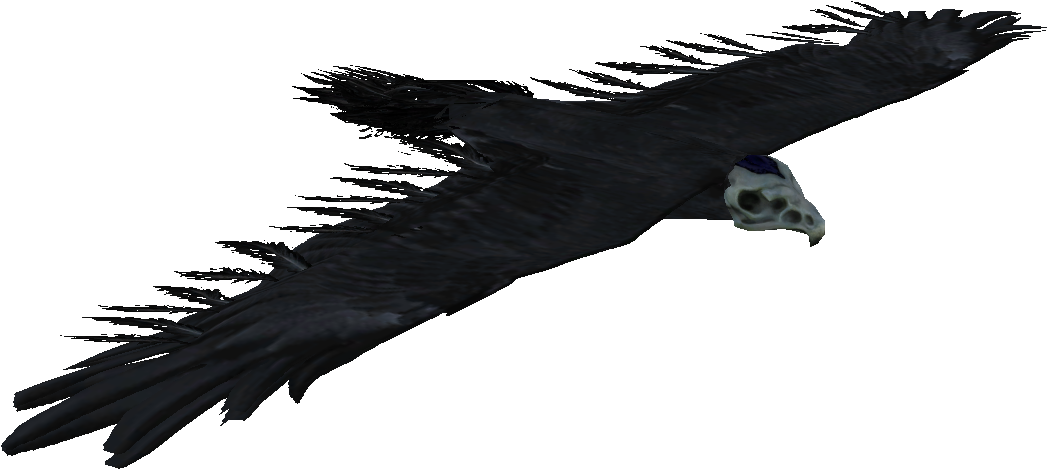 Download Skyrim Bone Hawk PNG Image With No Background PNGkey Com   33 336531 Skyrim Bone Hawk 