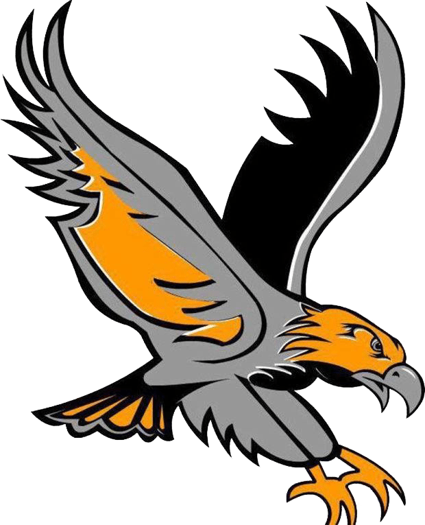 River Hawk Logo - Hawk Logo - Free Transparent PNG Download - PNGkey