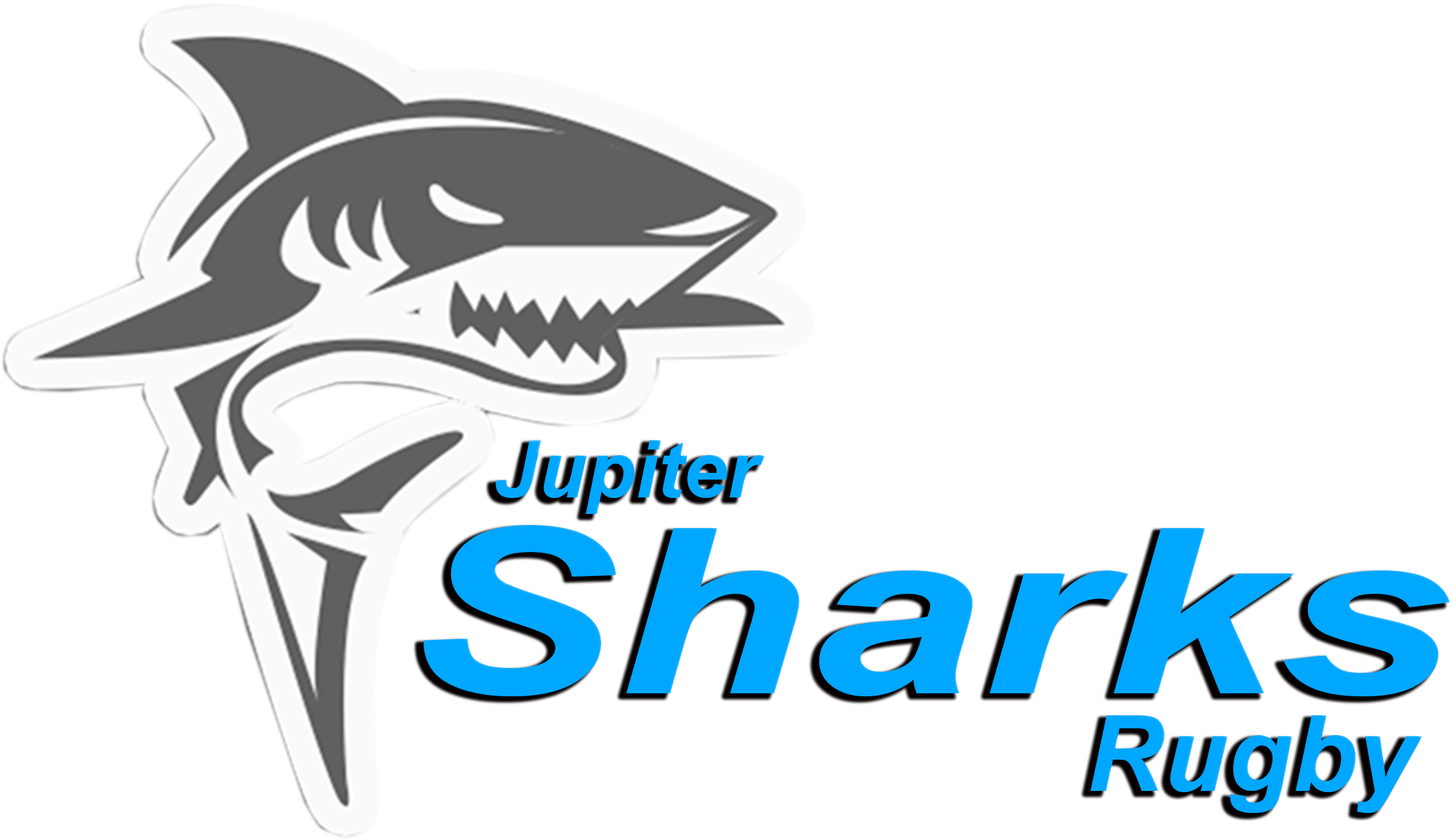 sharks rugby shop