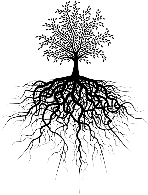 Download Tree Roots Png - Transparent Tree Of Life PNG Image with No ...