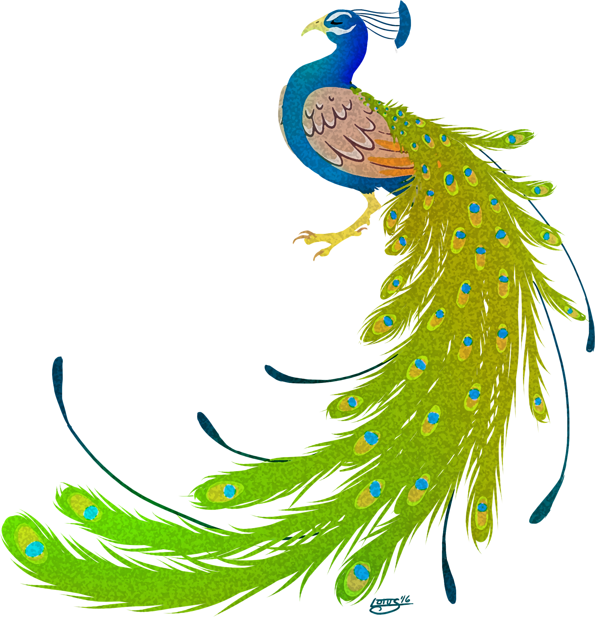 Go To Image - Peacock Images Hd Png - Free Transparent PNG Download ...