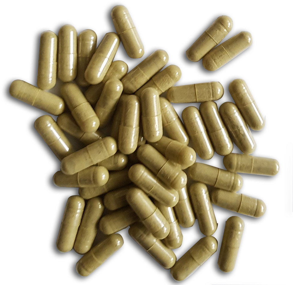 Download Kratom Capsules PNG Image with No Background - PNGkey.com