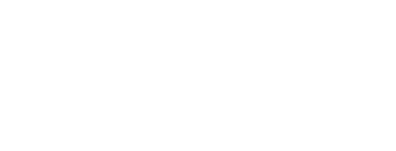 Salt Lake Bees Logo and symbol, meaning, history, PNG, brand