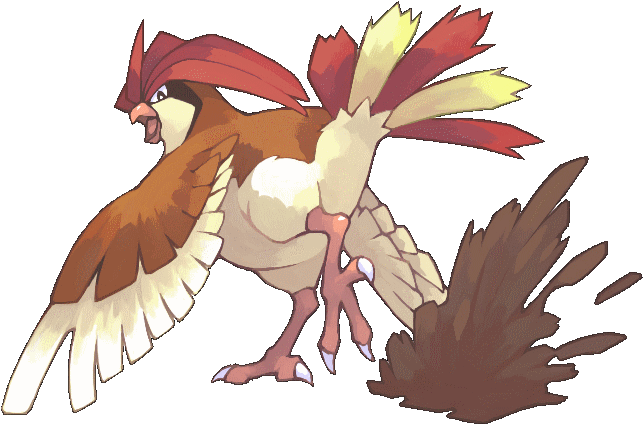 Download P Pidgeotto We Are Proud Of You ピジョン ポケモン Png Image With No Background Pngkey Com