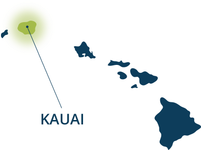 Download Map Of Hawaii - Hawaiian Islands PNG Image with No Background ...