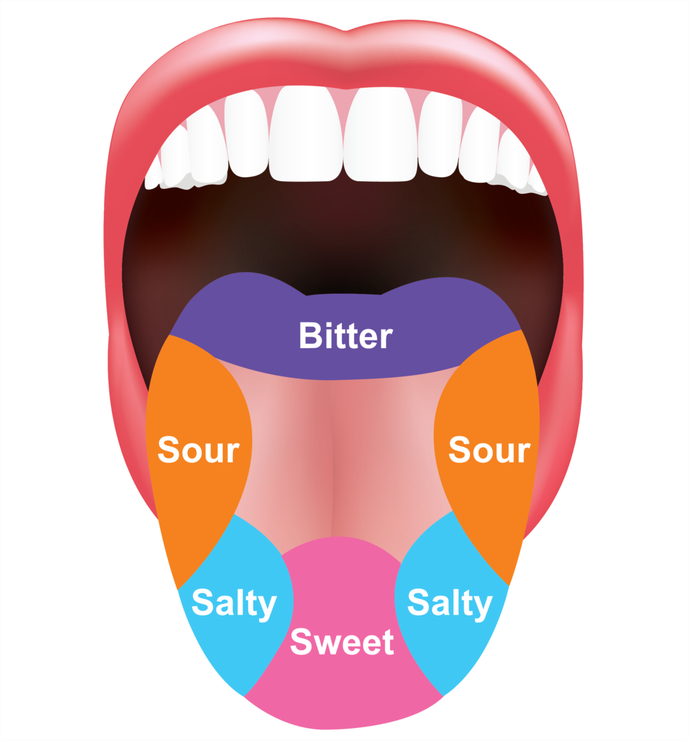 Download H2 Tongue - Tongue Graphic PNG Image with No Background ...