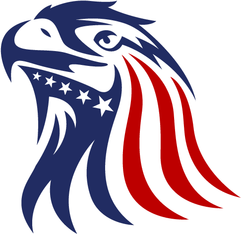 Download Eagle-reverse - Anitian PNG Image with No Background - PNGkey.com