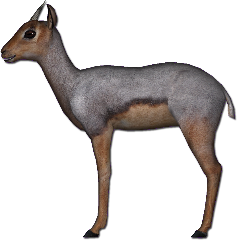 Beira Antelope - Beira Antelope Png (842x842), Png Download