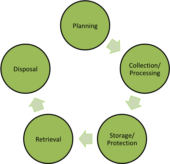 Download The Unsw Biorepository Has The Knowledge And Infrastructure ...