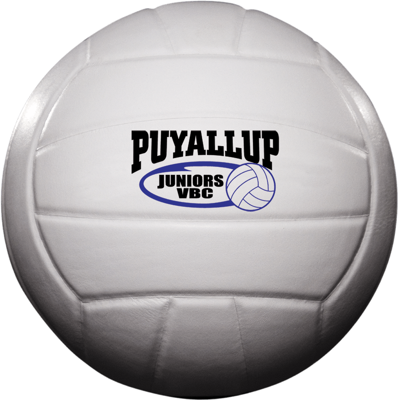 Download Custom Status X Leather Game Volleyball - Volleyball PNG Image ...